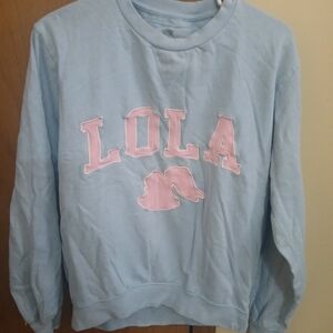 Warner Bros. Light Blue and Pink Crew Neck Sweater